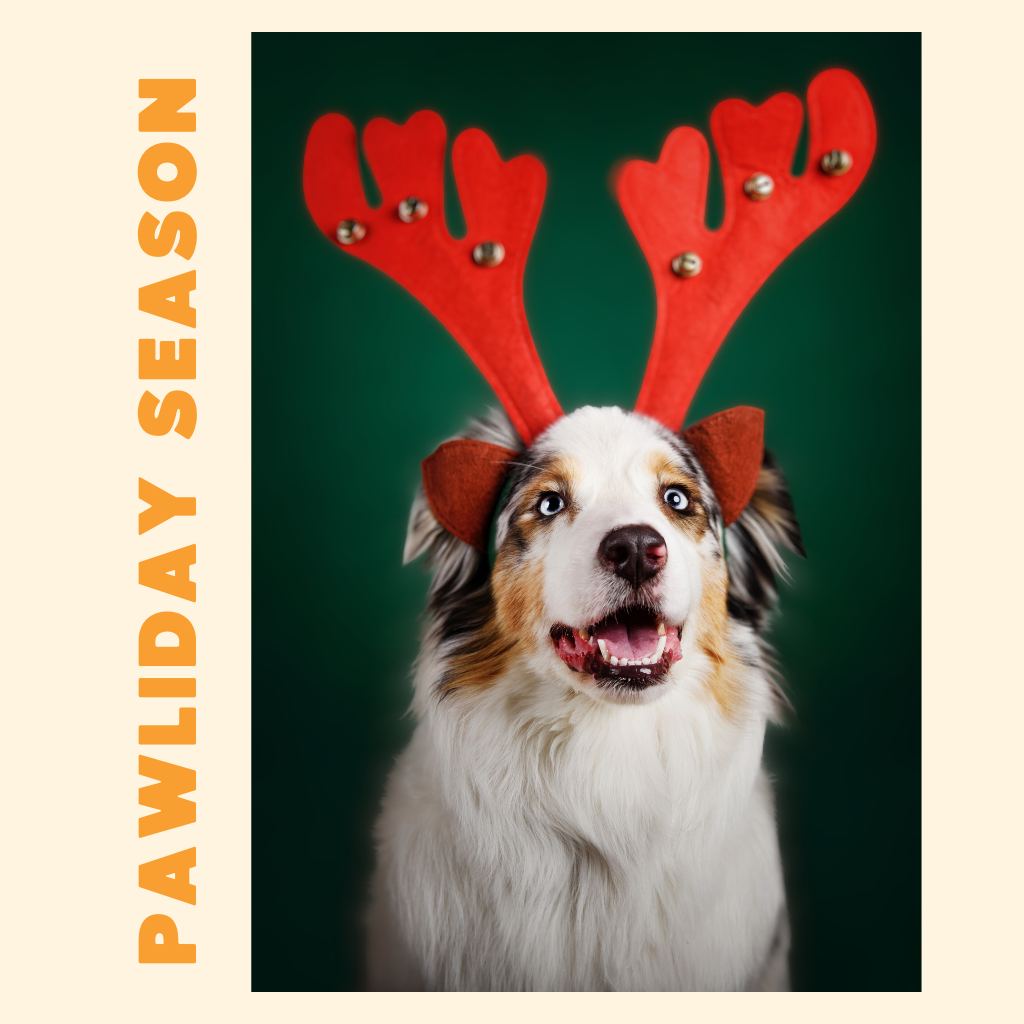 Pawliday Season
