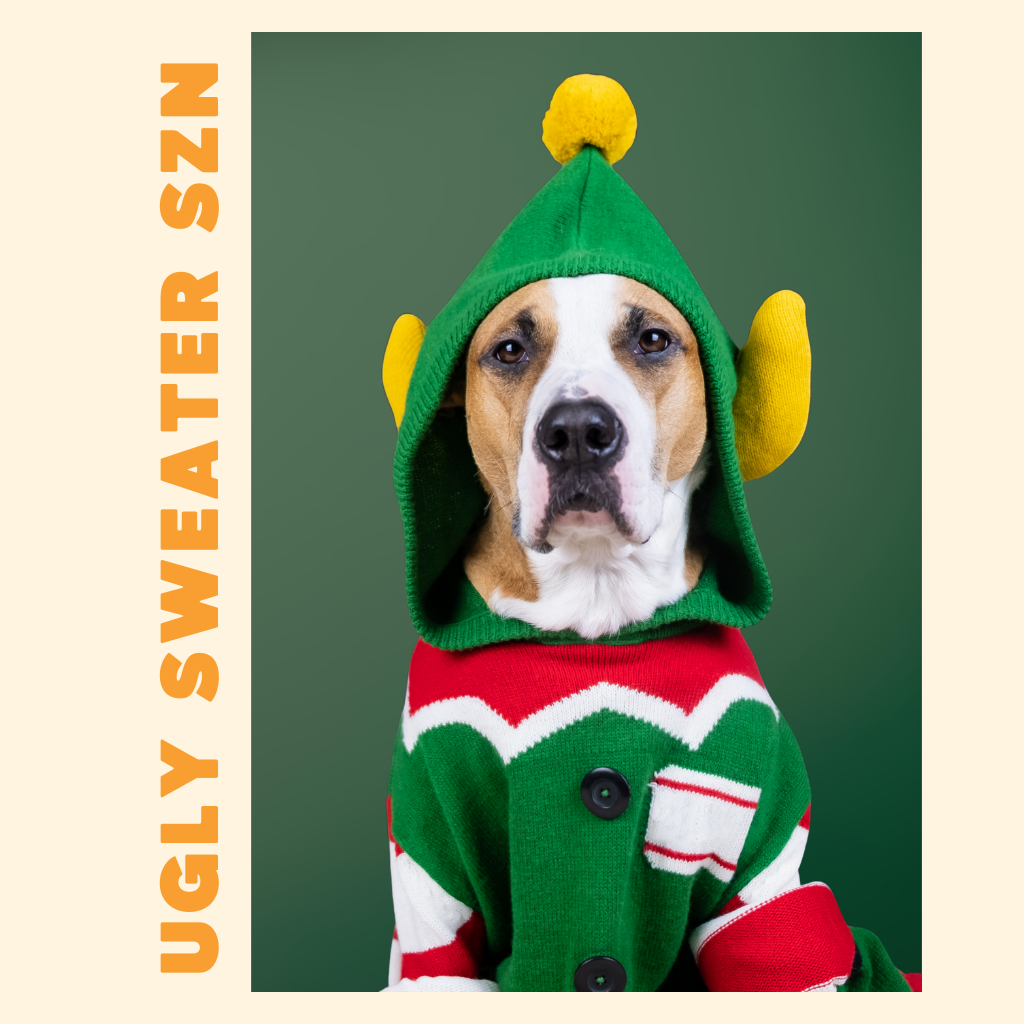 Ugly Christmas Sweaters