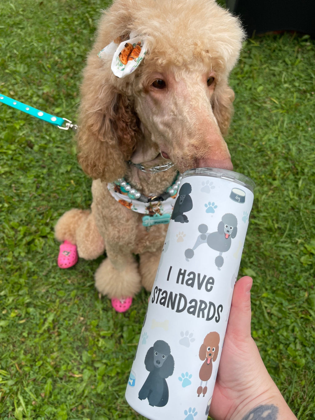 I Have Standards Tumbler